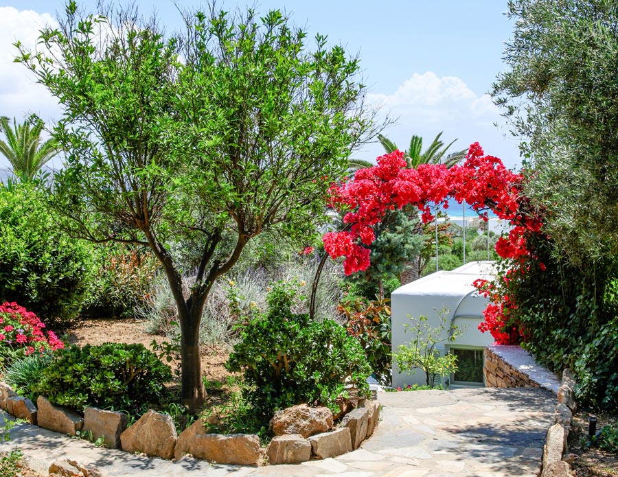 naxos-hotel for honeymoon